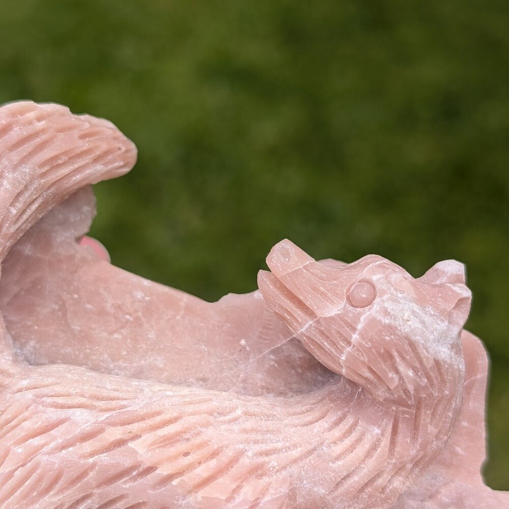 Pink opal fox - Picture 3 of 4